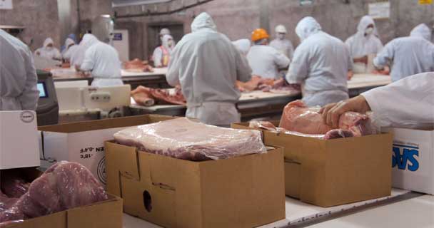 Japón elimina los aranceles al porcino europeo y abre nuevas oportunidades al sector