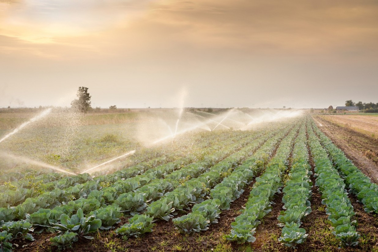 Oxital entra en el sector del regadío bajo la marca Oxital Agro