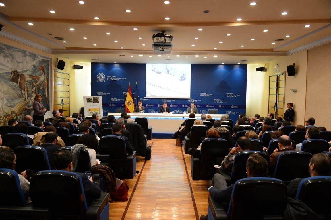 El MAPA ha destinado casi 4,5 M€ a la vigilancia y erradicación de la Xylella fastidiosa