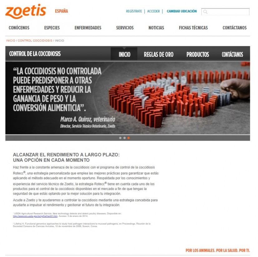 Zoetis lanza una web para el control de la Coccidiosis aviar