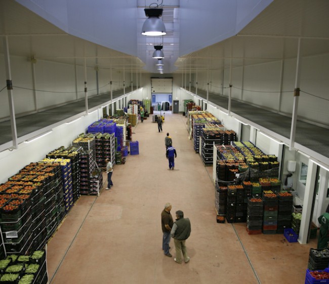 La Red de Mercas comercializó alimentos por valor de 14.000 M€ en 2018