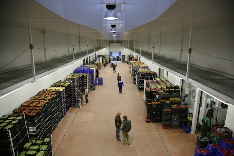 La Red de Mercas comercializó alimentos por valor de 14.000 M€ en 2018