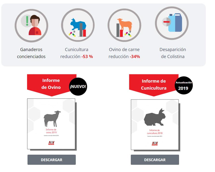 Nanta comparte los últimos resultados sobre el uso de antibióticos en ovino de cebo y conejos