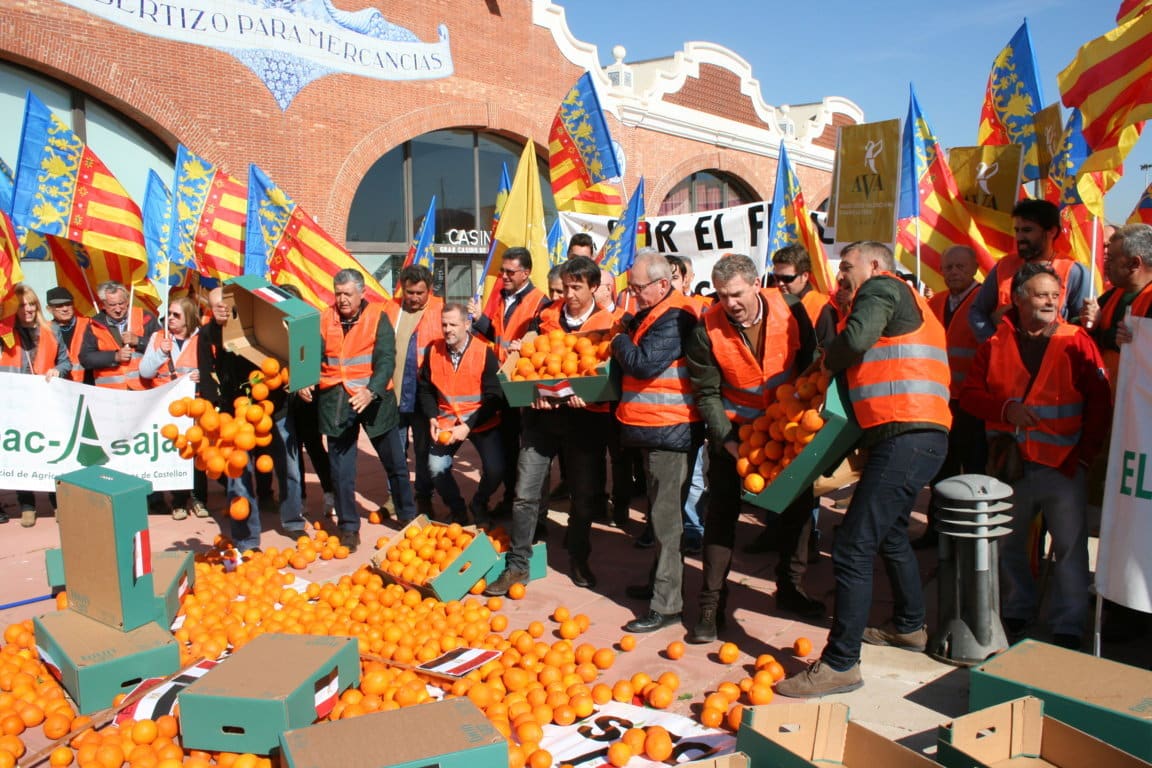 Citricultores valencianos advierten que darán a conocer los nombres de los comercios que venden naranjas foráneas