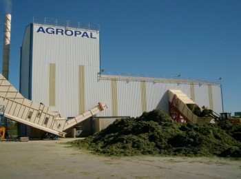 El Gobierno flexibiliza el reconocimiento de las Entidades Asociativas Prioritarias (EAPs) agroalimentarias