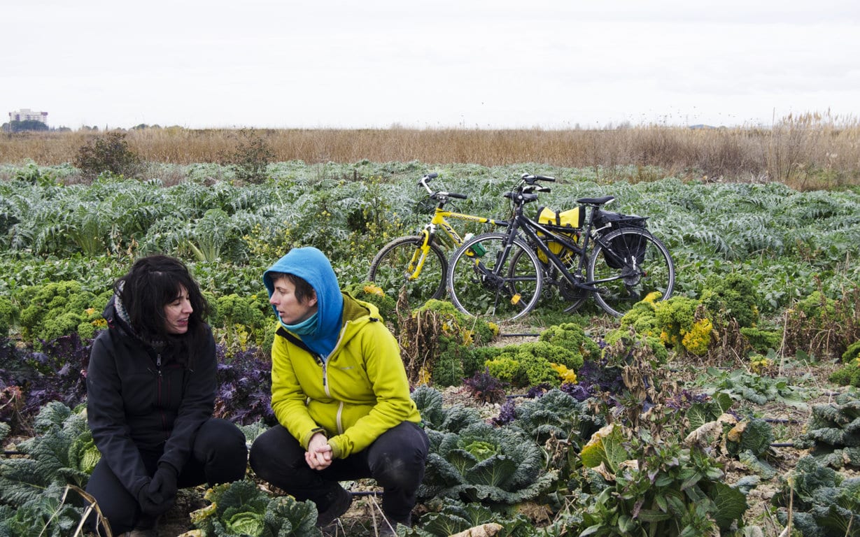 El proyecto Biela y Tierra conectará en bicicleta iniciativas de alimentación sostenible