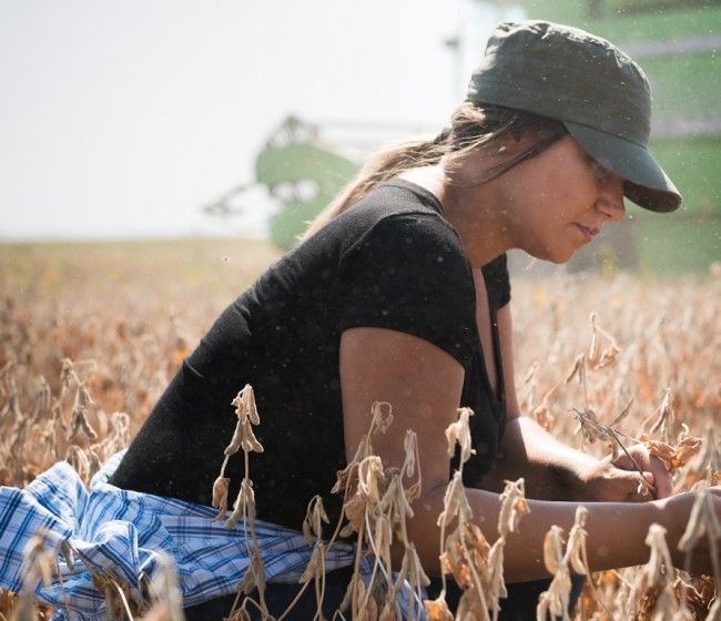 COAG exige ampliar la financiación ICO-MAPA-Saeca para jóvenes agricultores