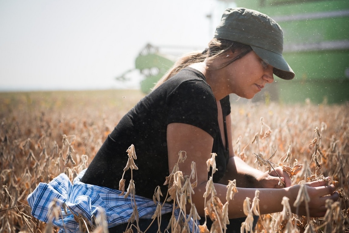 Unas 2.100 peticiones de incorporación y modernización de explotaciones agrarias en Castilla y León