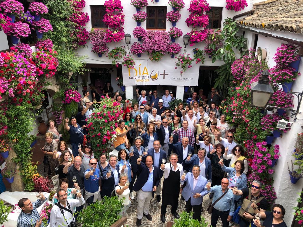 Veintinueve denominaciones se han sumado al tercer Día Movimiento Vino DO