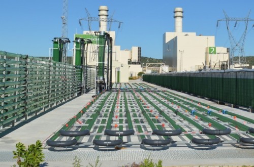 Fabricio Benatti, nuevo vicepresidente de la filial brasileña de Algaenergy