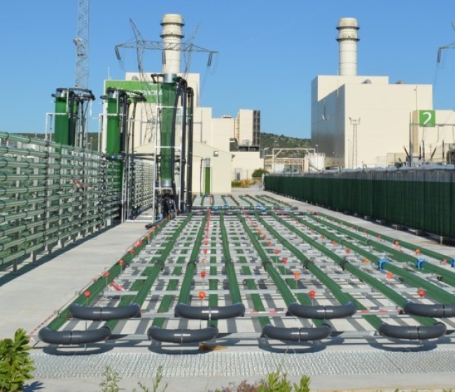 AlgaEnergy abre nuevas filiales en Turquía y Australia