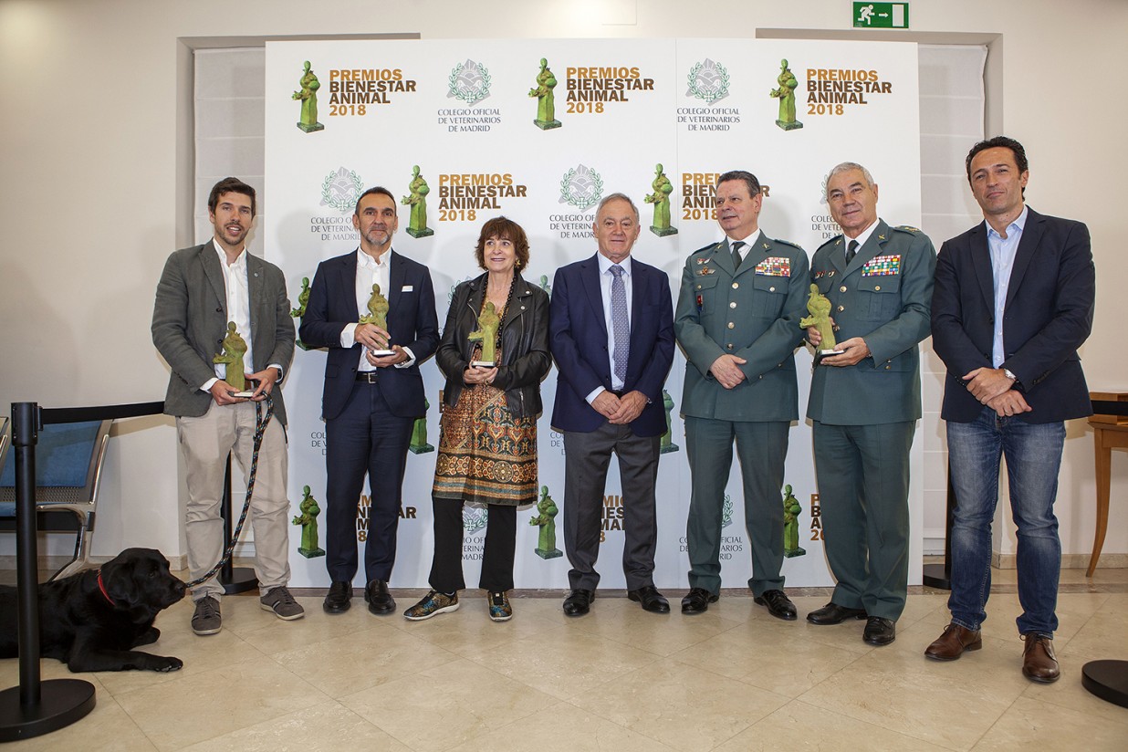 El Colvema entrega los Premios Bienestar Animal en su cuarta edición