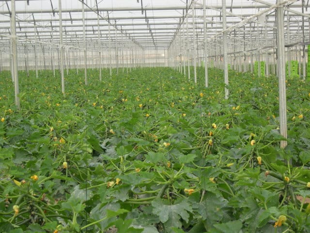 Ascenza presentará su nueva marca en Infoagro Exhibition 2019