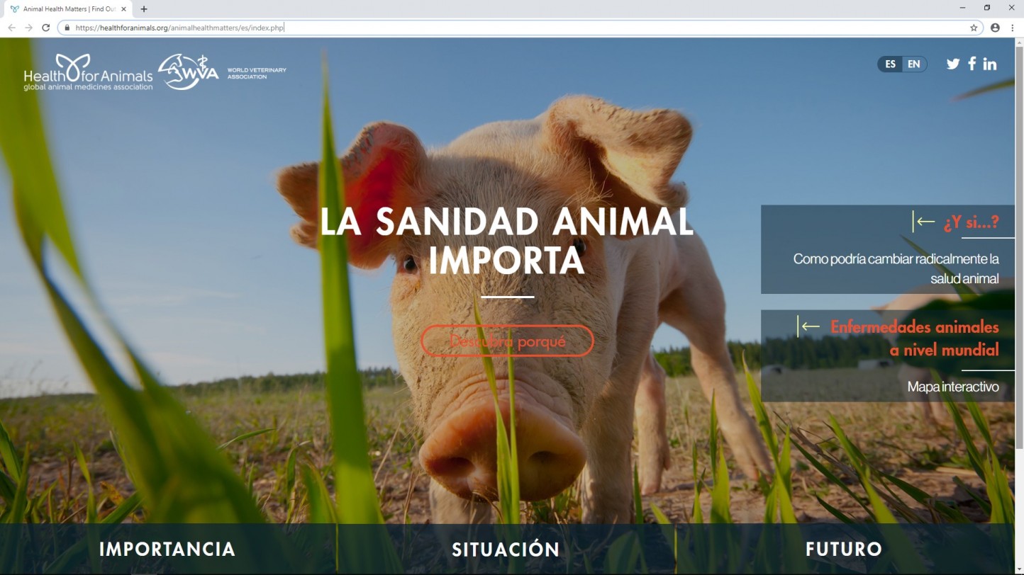 “La sanidad animal importa”, el nuevo portal en español sobre salud veterinaria