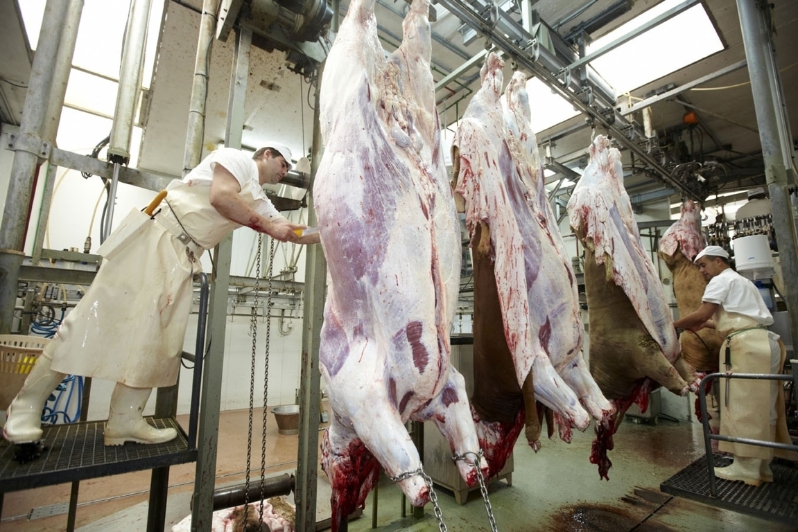 ANICE pide que se agilicen las exportaciones de carne de vacuno