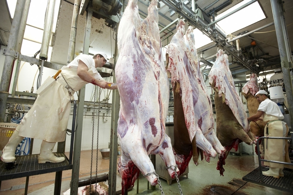 ANICE pide que se agilicen las exportaciones de carne de vacuno