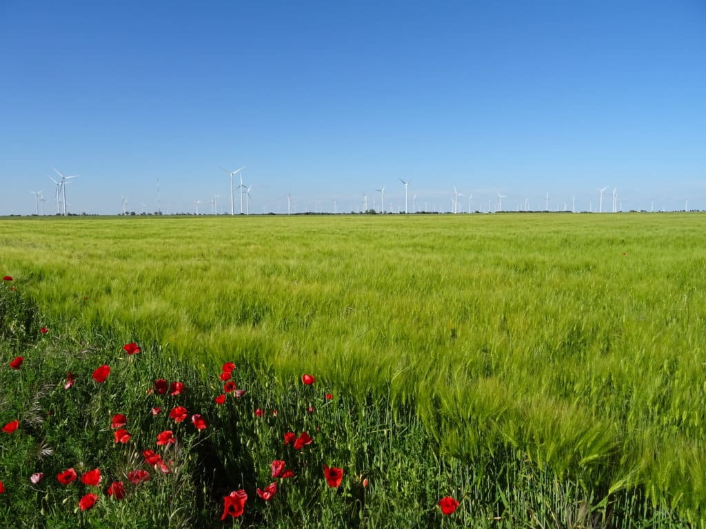 La Agricultura, un asunto de interés general para el futuro de país que queremos. Eduardo Moyano Estrada