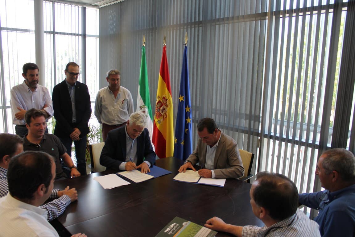 Acuerdo Cooperativas, IFAPA y Coalsa para impulsar la investigación en el cultivo del  algodón en Andalucía