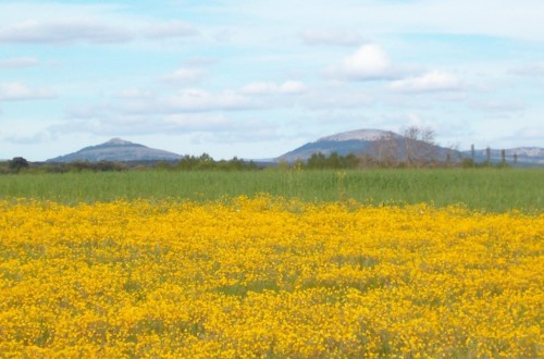 El MAPA quiere simplificar la acreditación de agricultor activo para la campaña PAC de 2020
