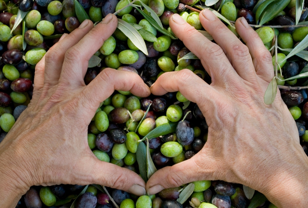 El grupo Deoleo promueve la Asociación PROValor para fomentar la calidad, rentabilidad y sostenibilidad del aceite de oliva