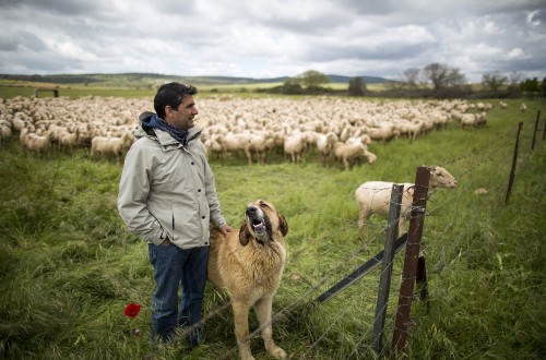 Se presenta en Portugal la Alianza Ibérica por una Dehesa Viva