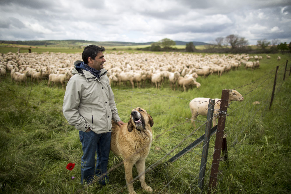 Se presenta en Portugal la Alianza Ibérica por una Dehesa Viva