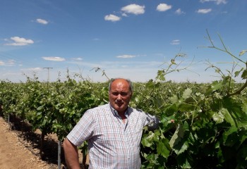 Viñedos de alto rendimiento con una nutrición de calidad