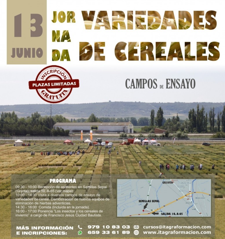 Jornada del Itagra.ct sobre variedades de cereales en campos de ensayo