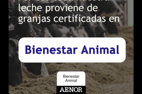 Bruselas no descarta un etiquetado UE de bienestar animal para alimentos lácteos y cárnicos