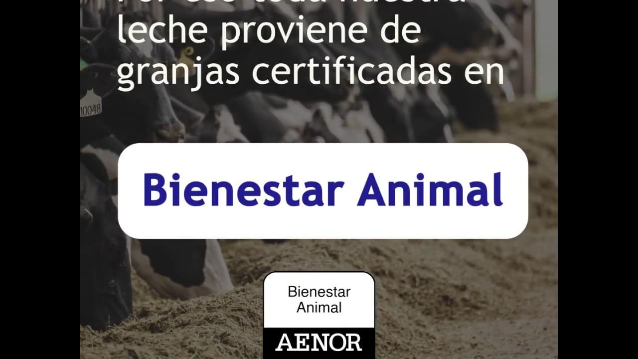 Bruselas no descarta un etiquetado UE de bienestar animal para alimentos lácteos y cárnicos