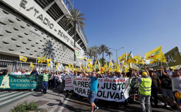 Manifestación 9 Julio: COAG y UPA de Andalucía exigen precios justos y evitar la especulación en el aceite de oliva