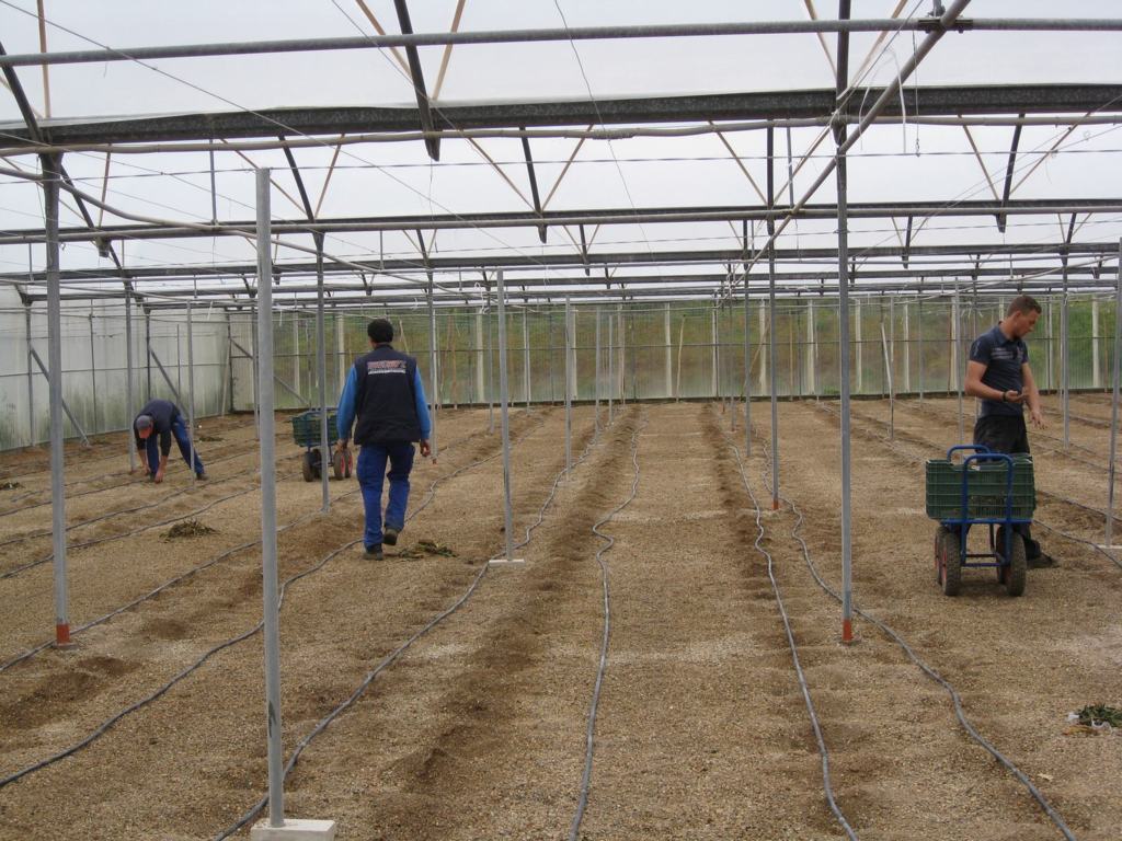 La sequía y el fin de campañas agrícolas bajó la actividad en el sector agrario hasta junio