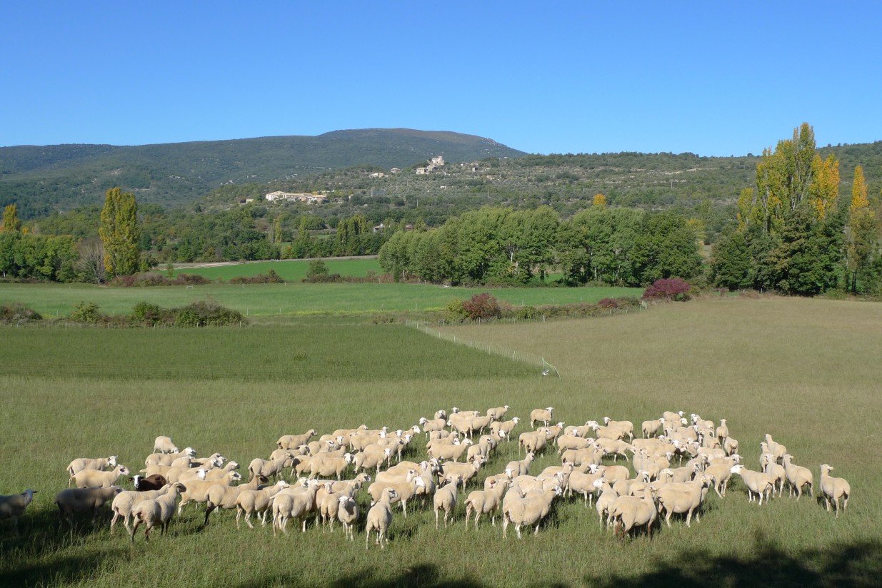 La importancia de los sistemas de explotación para el medioambiente y para la sociedad