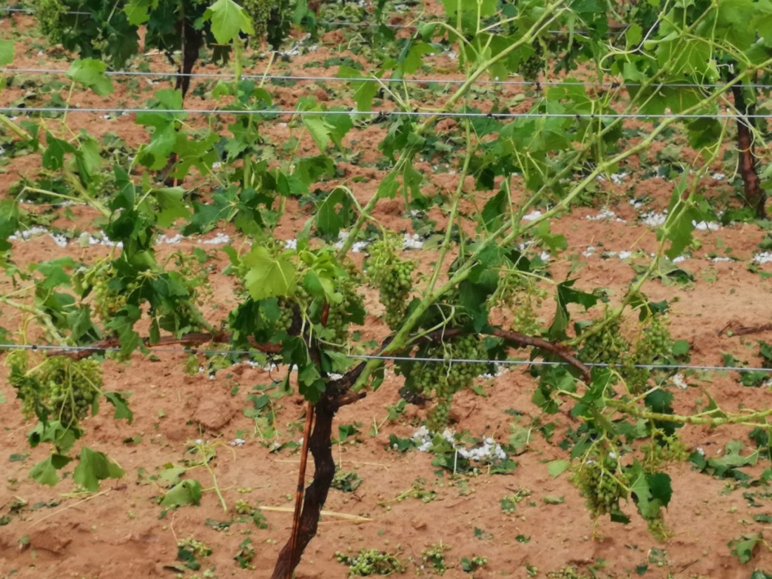 Cuantiosos daños por una tormenta de pedrisco en la Comunidad Valenciana