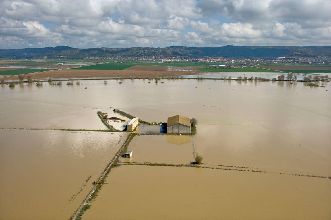 Más de 100 organizaciones instan a sumarse a la Huelga Mundial por el Clima el 27 de septiembre