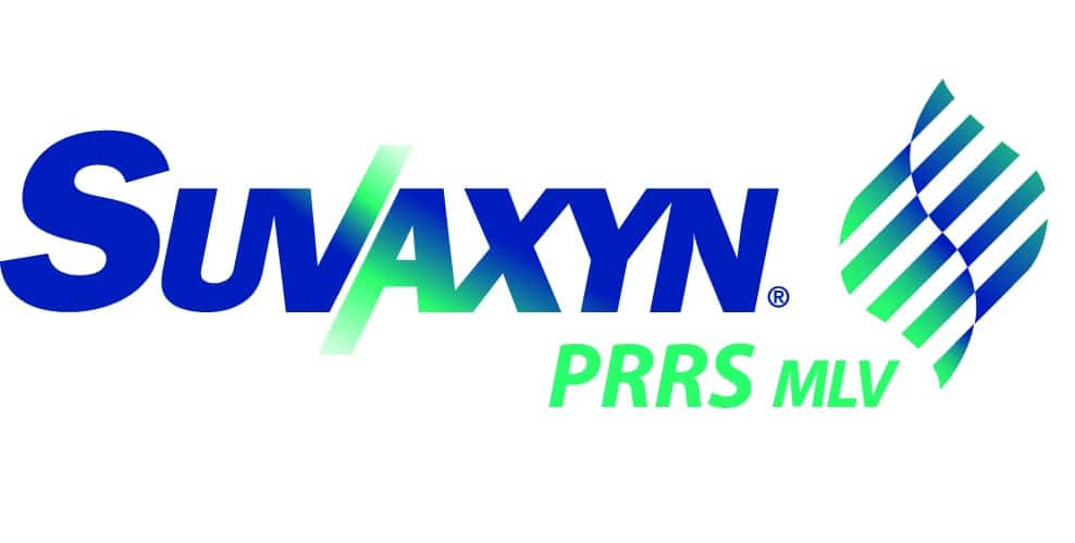 Suvaxyn PRRS MLV incorpora dos novedades en sus indicaciones