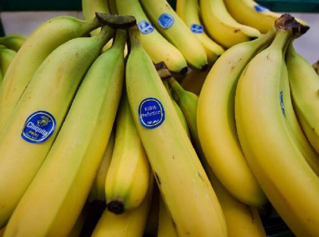 El acuerdo con Mercosur aumentará el riesgo de sobreabastecimiento de banana, según Asprocan