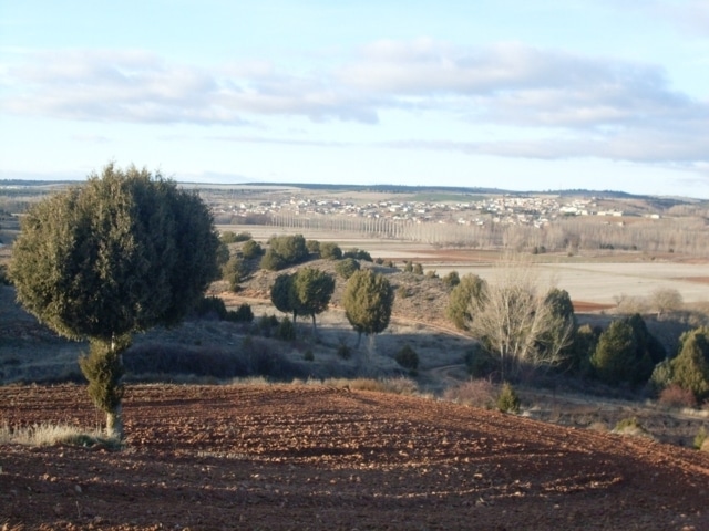 Criterios para cumplir como agricultor activo y sobre el control previo de la actividad agraria en las ayudas PAC