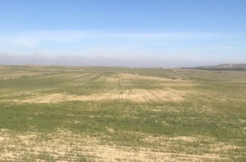 Visto bueno de Bruselas al apoyo adicional a los agricultores afectados por la sequía