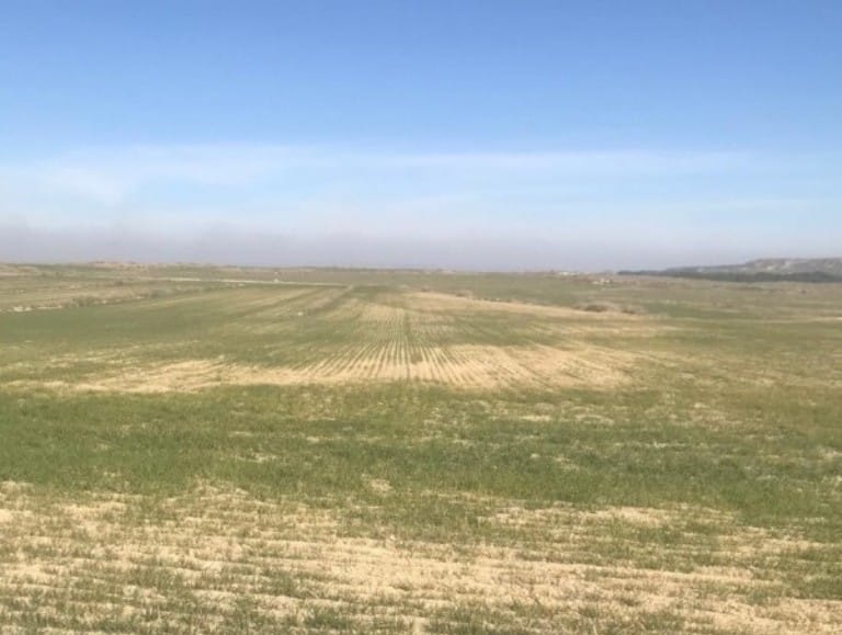 Visto bueno de Bruselas al apoyo adicional a los agricultores afectados por la sequía