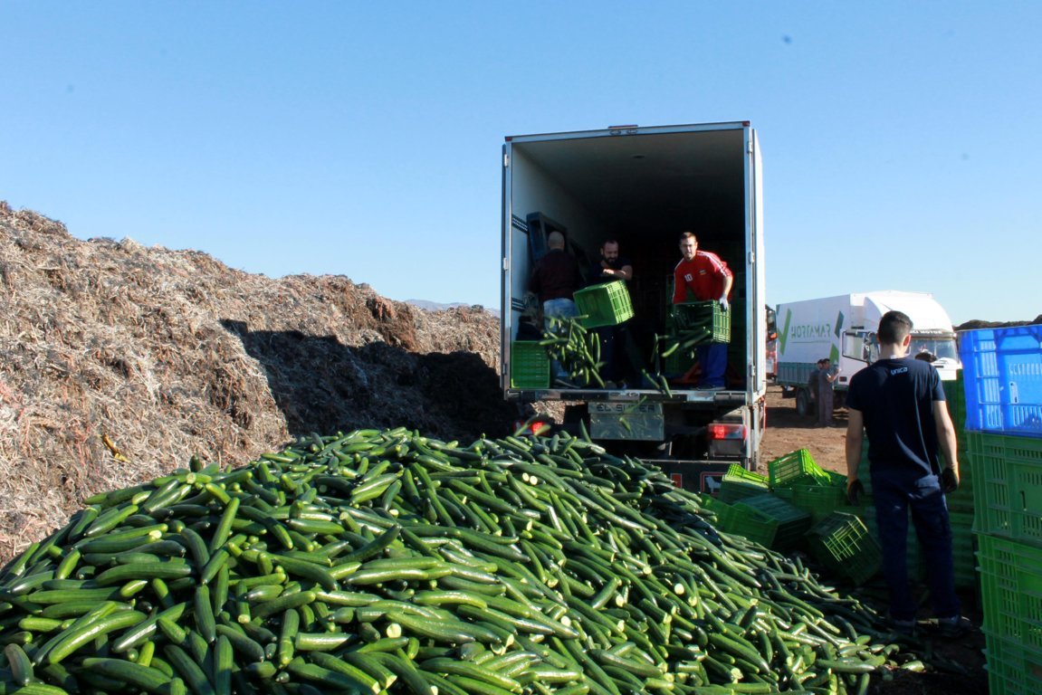 España retiró 111 millones de kilogramos de fruta y verdura para ayuda alimentaria y ganado