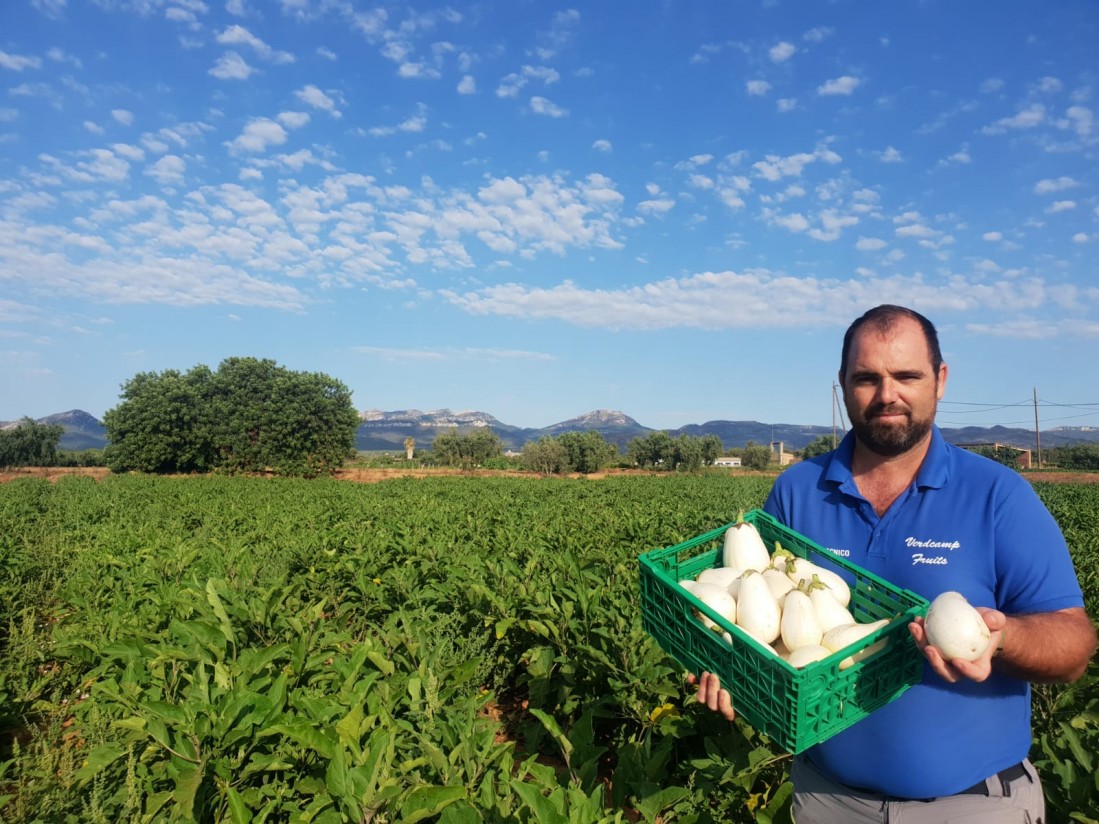 Carrefour lanza un crowdfounding para recuperar la berenjena blanca