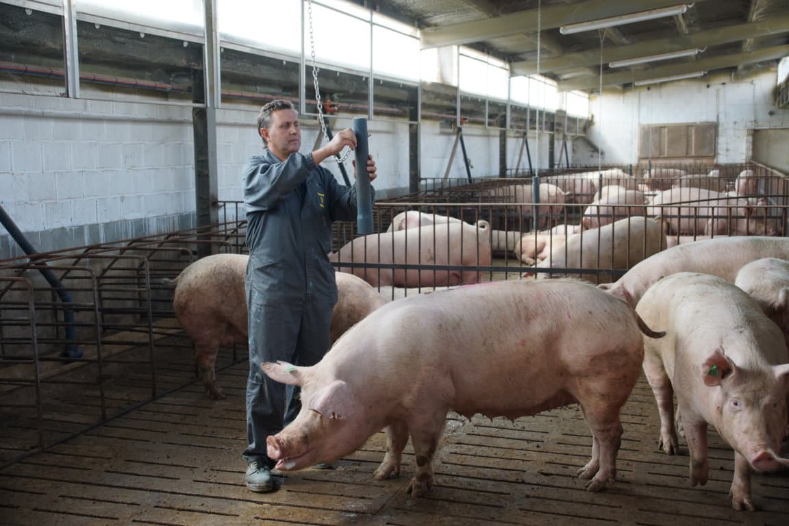 Los ganaderos, los más interesados en el bienestar de nuestros animales