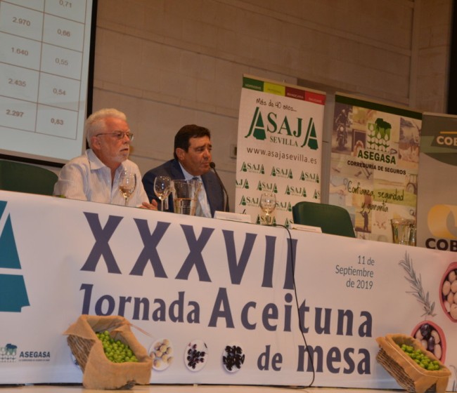 La producción española de aceituna de mesa 2019/2020, con 487.000 t, la menor de la última década