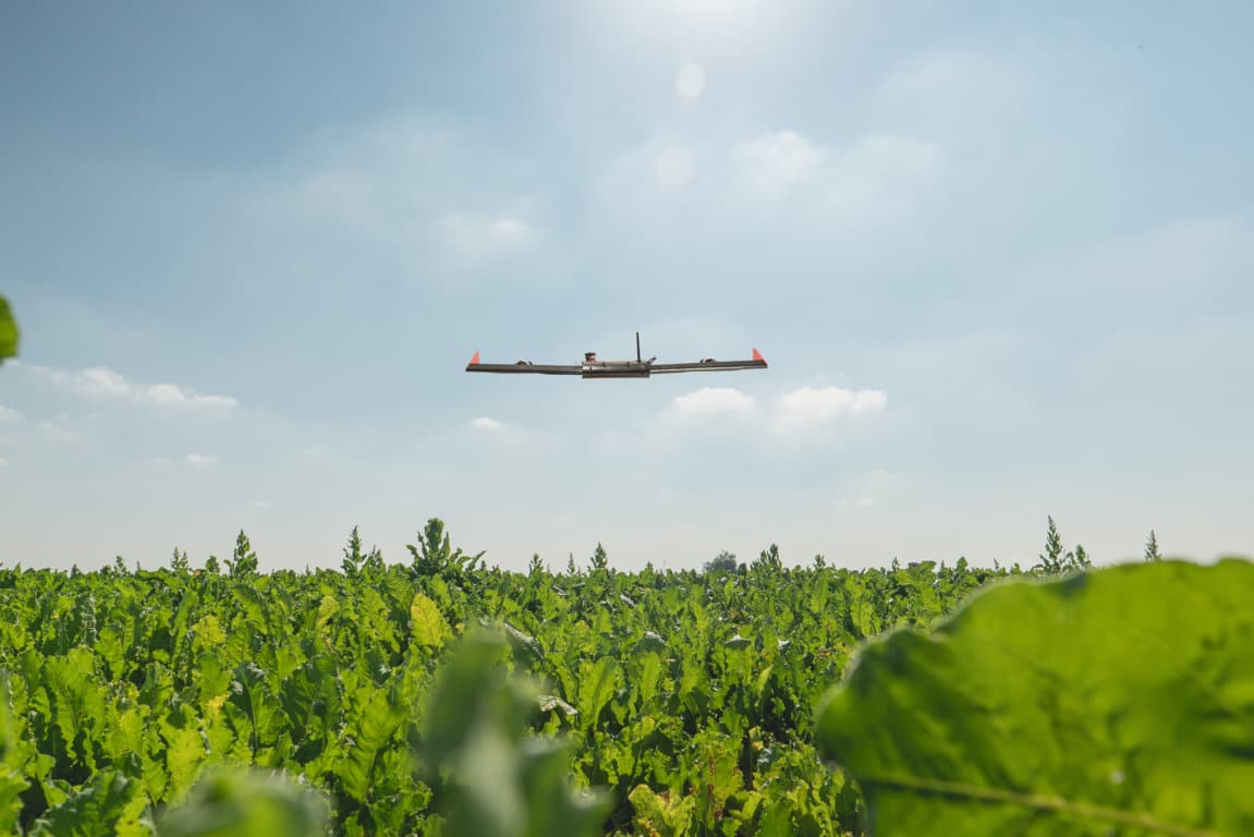 ALAS, Alianza para una Agricultura Sostenible se presenta en Andalucía