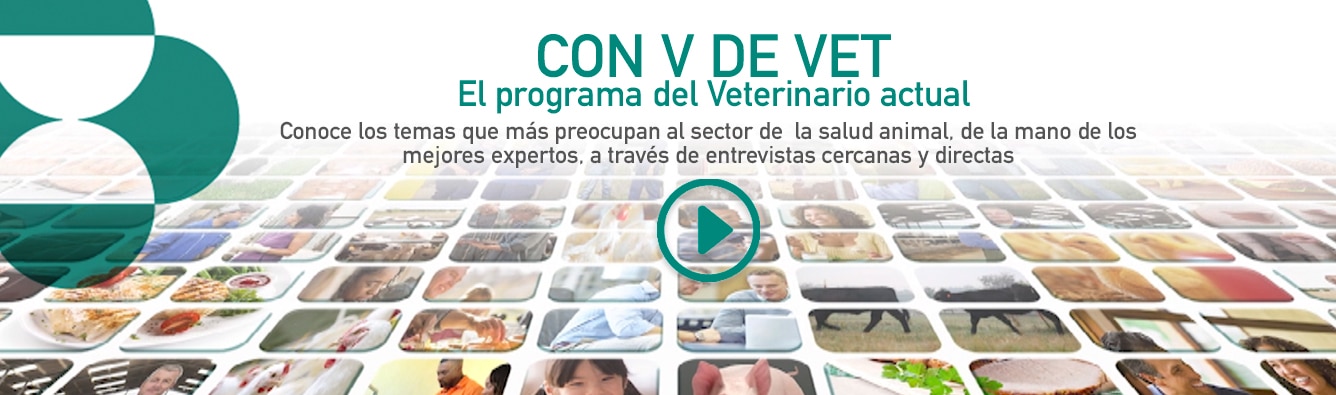 MSD Animal Health presenta “Con V de Vet”, el programa para el veterinario actual