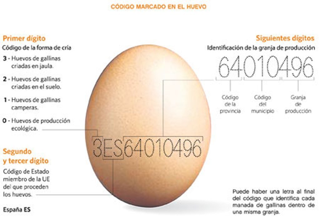 Singapur abre su mercado interno a la importación de huevos españoles