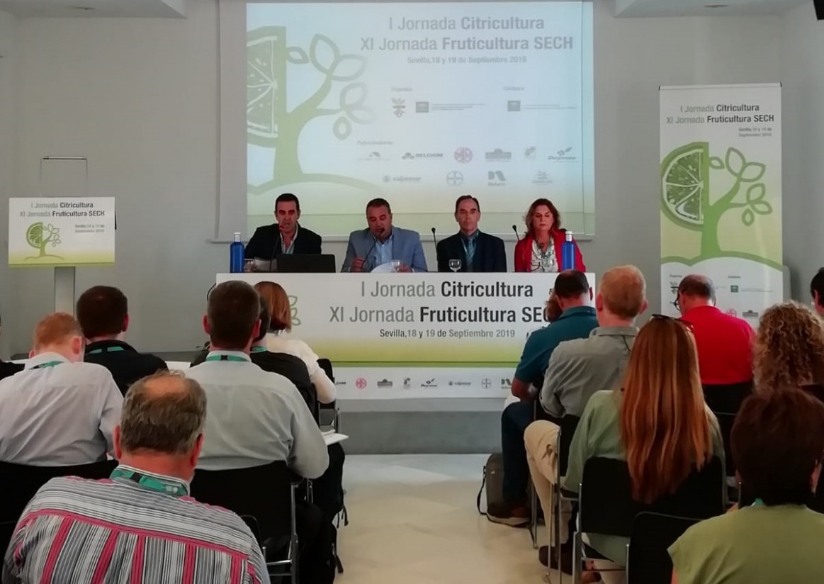 Aforo completo en las I Jornadas de Citricultura y  XI Jornadas de Fruticultura celebradas en Sevilla