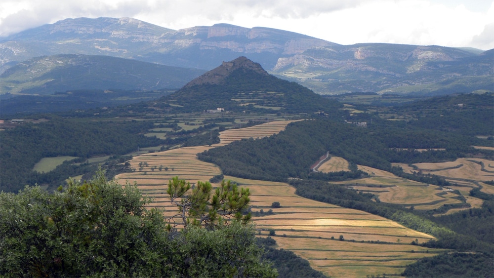 Más de 2,32 Mha de superficie agrícola abandonada y sin aprovechamiento en España