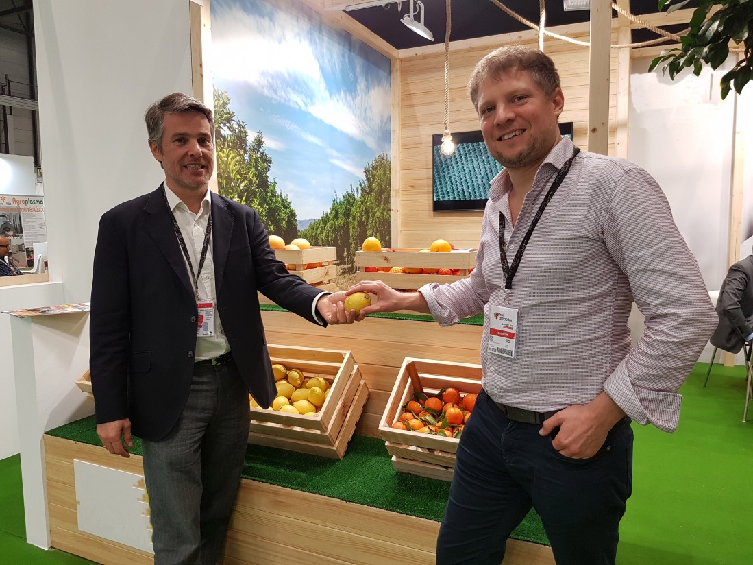 Consentio, la nueva plataforma digital para comercializar frutas y hortalizas